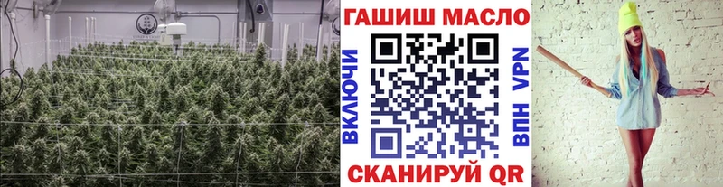 Дистиллят ТГК вейп с тгк  hydra ТОР  Тара  сколько стоит 