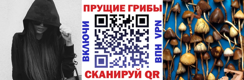 купить  цена  Тара  Галлюциногенные грибы мухоморы 
