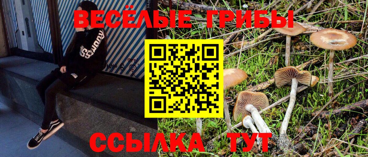 Галлюциногенные грибы Magic Shrooms Тара