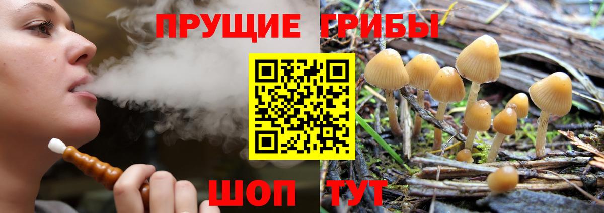 продажа наркотиков  Галлюциногенные грибы GOLDEN TEACHER  Вход с VPN  Тара 