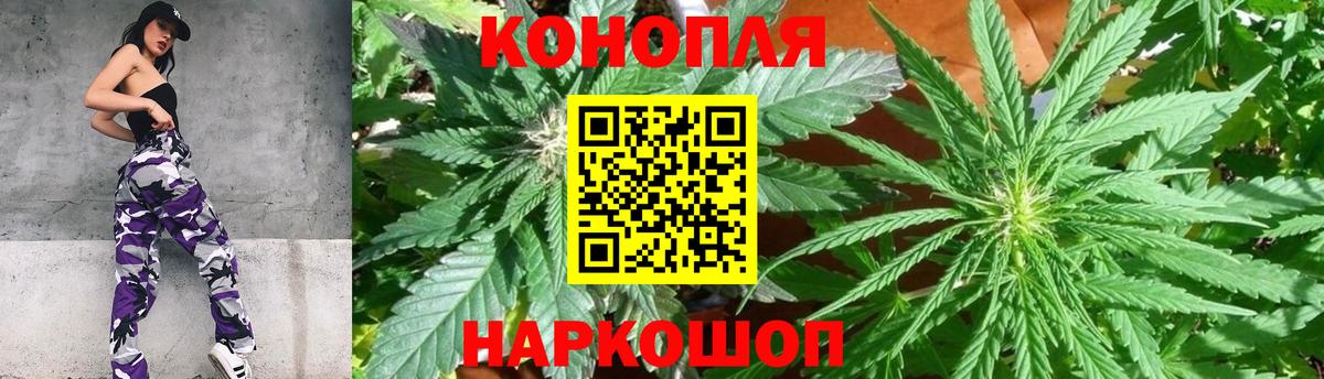 Тара  Канабис семена  Вход с VPN  МАРИХУАНА SATIVA & INDICA  МАРИХУАНА VHQ 